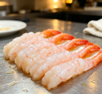 Arctic Sweet Shrimp