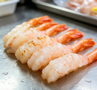 Arctic Sweet Shrimp