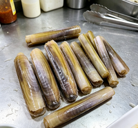 Fresh Bamboo Clams